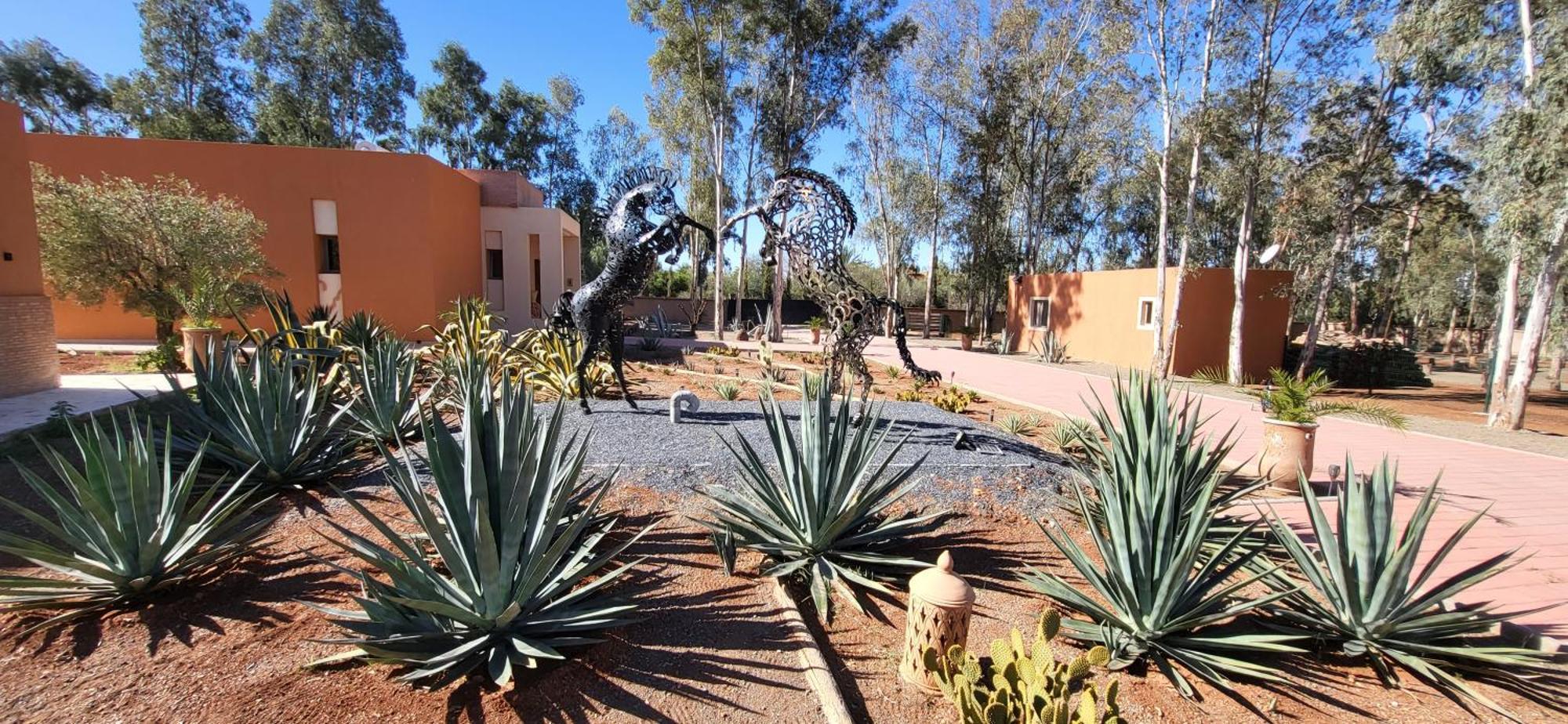 Le Jardin De Jeanne Villa Marrakesh Buitenkant foto